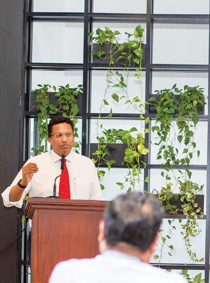 Ceylon Cinnamon: The ancient elixir with modern power