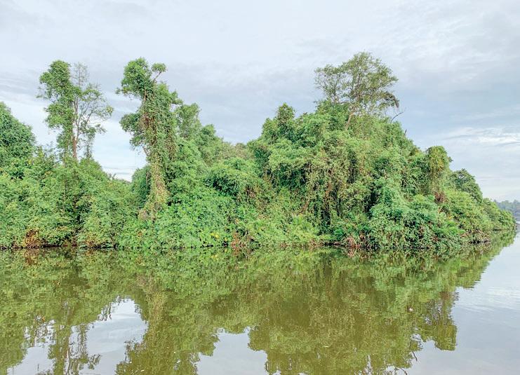 Islands of Hope: Geoffrey Bawa Trust and WNPS PLANT unite to restore Lanka's vanishing ecosystems