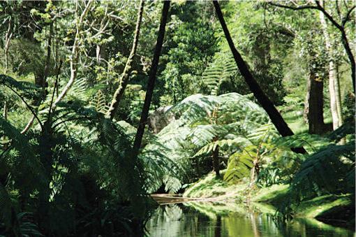 Sri Lanka's Silent Conservation Revolution: