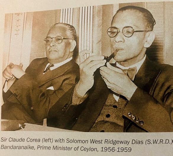 A Splash of Honey - Christabelle Corea-Aturupane's Legacy in Print