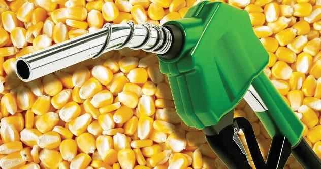 Corn must become India's new crude