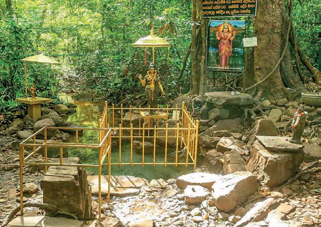 Guardians of the Sacred Grove