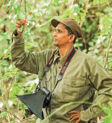 Guardians of the Night: The Secret Life of Sri Lanka's Frogmouth