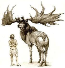 The existential elk theory