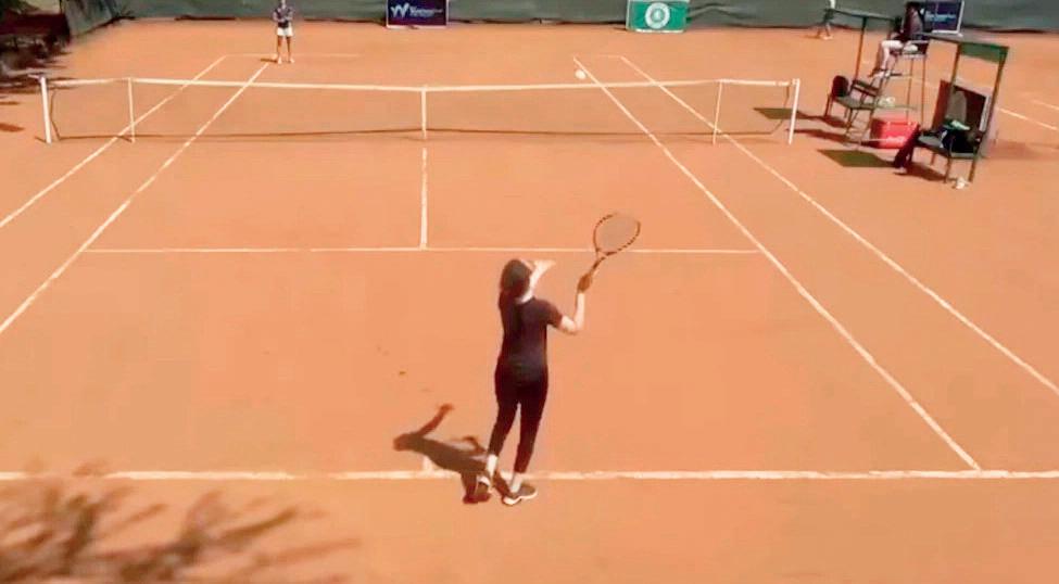 Tournament chiefs admit errors over viral wildcard