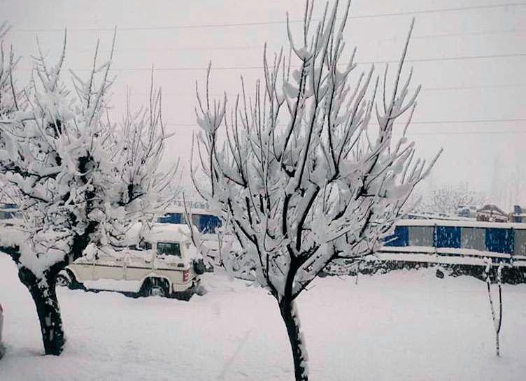 Kashmir turns into winter wonderland, heavy snow blankets roads, rooftops