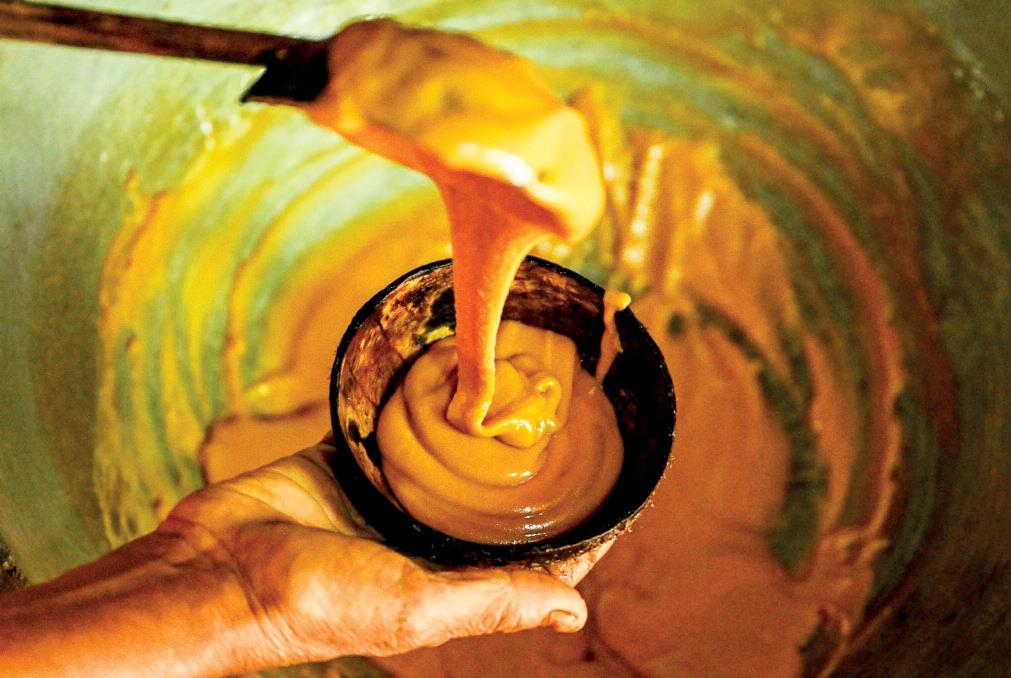 SRI LANKA'S PALM-SAP TAPPERS RIDE UNESCO BOOST
