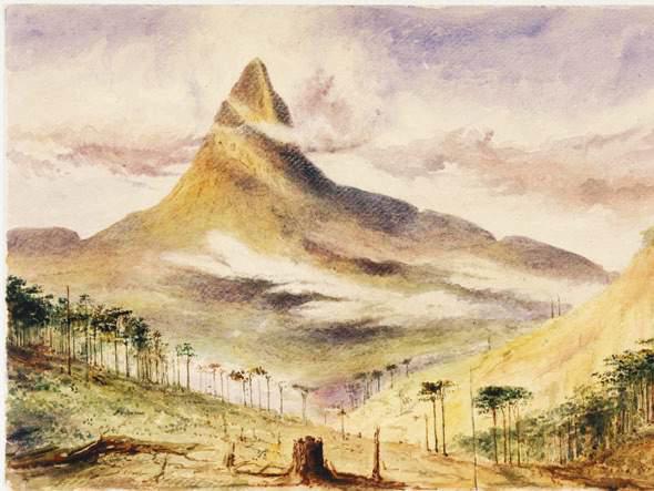 From the Pathfinder Collection: A Soldier's Eye on Ceylon