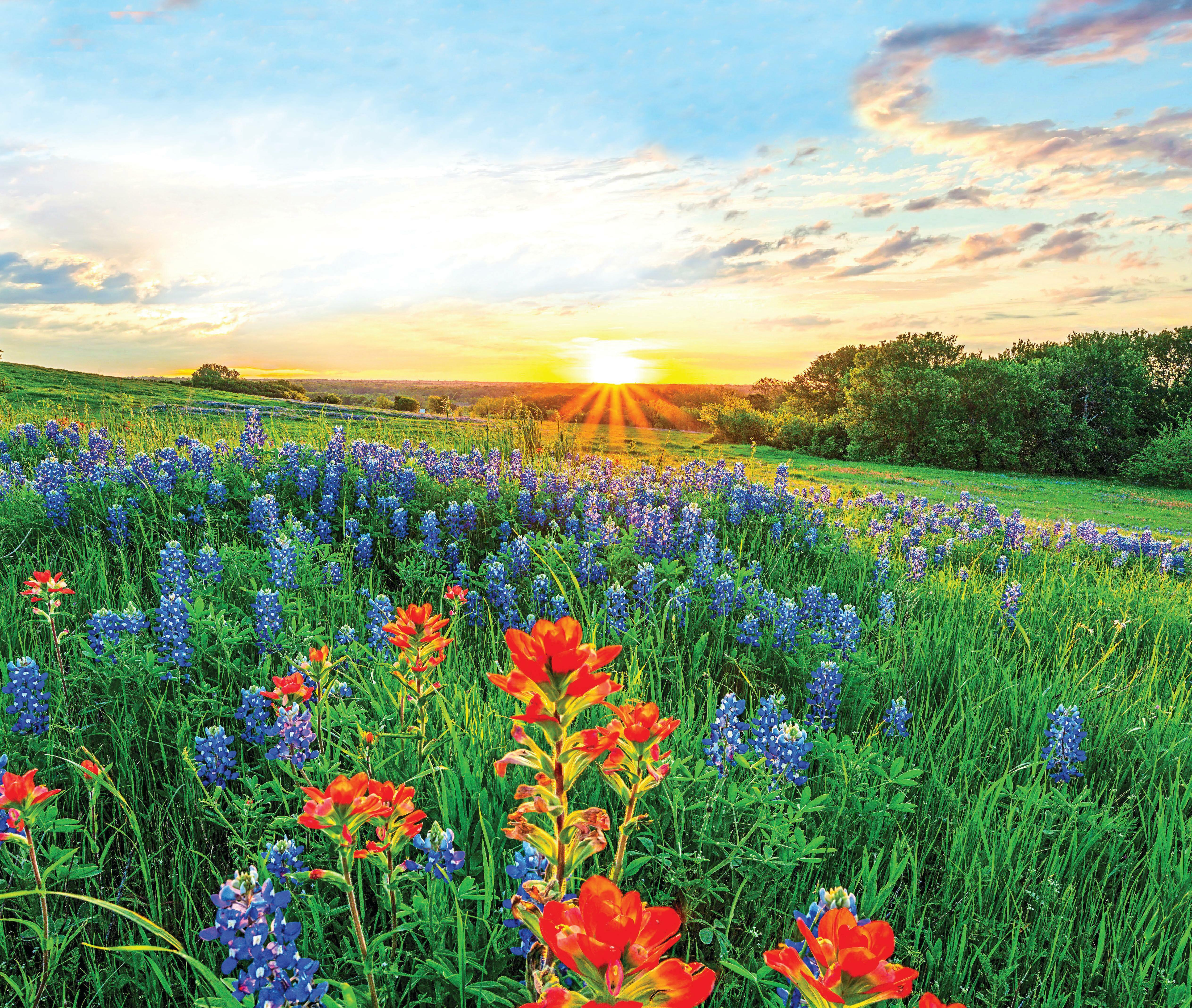 Bask in the beauty of Ennis!