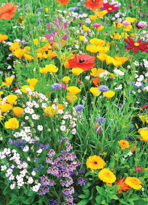 Soothe spring allergy symptoms