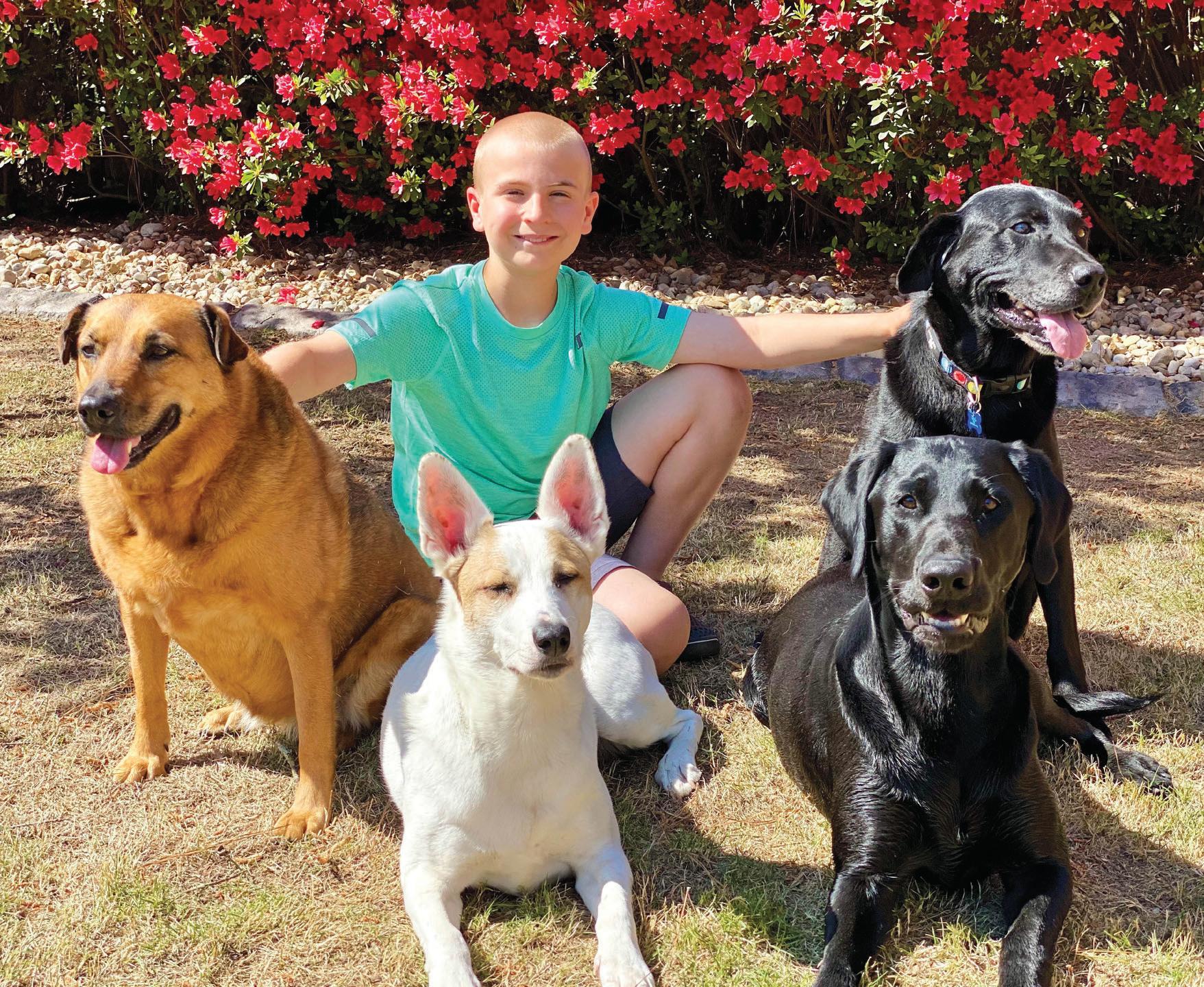 Kid finds forever OF LOVE homes for 5,000 pups