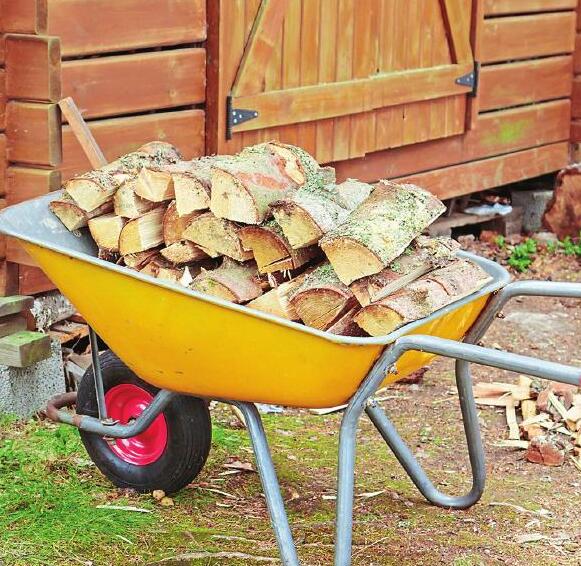 Cold-weather secrets for fighting pests