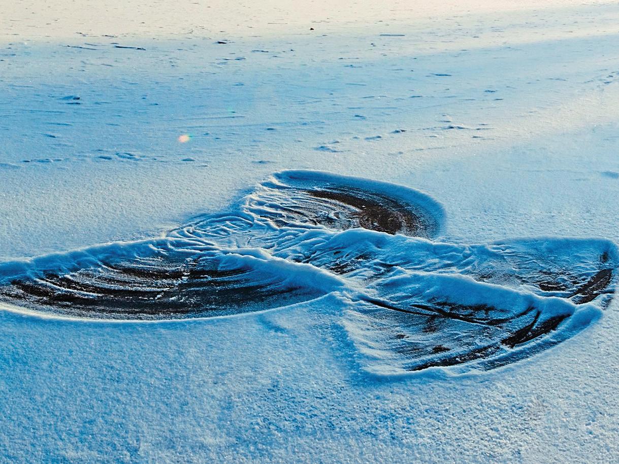 Thanksgiving memories