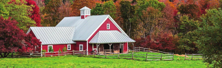 Bask in bliss in BARNARD!