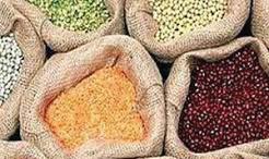 Govt aims to procure 100% of Tur, Urad and Masur