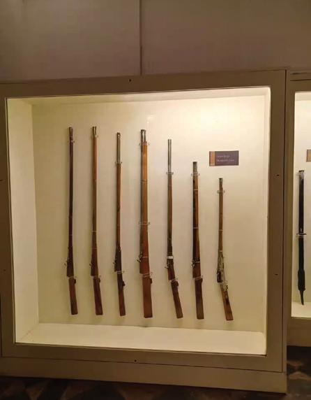 Museum of Chittorgarh: A Journey Through History, Culture, and Heritage