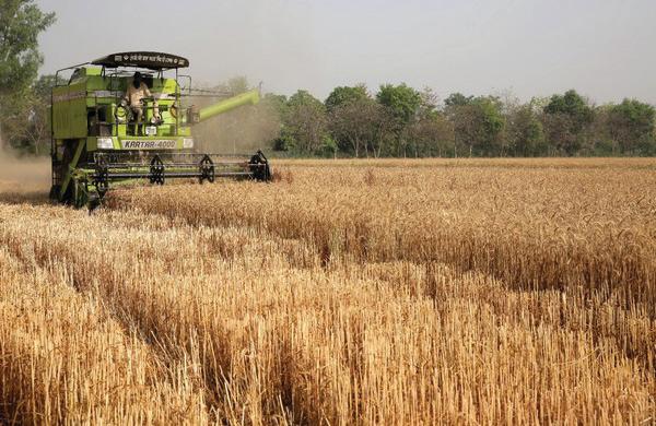 India may not lose much in agriculture: Economist Ashok Gulati