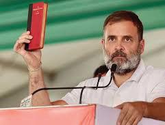 Ambedkar's legacy guides our fight to protect the Constitution: Rahul Gandhi