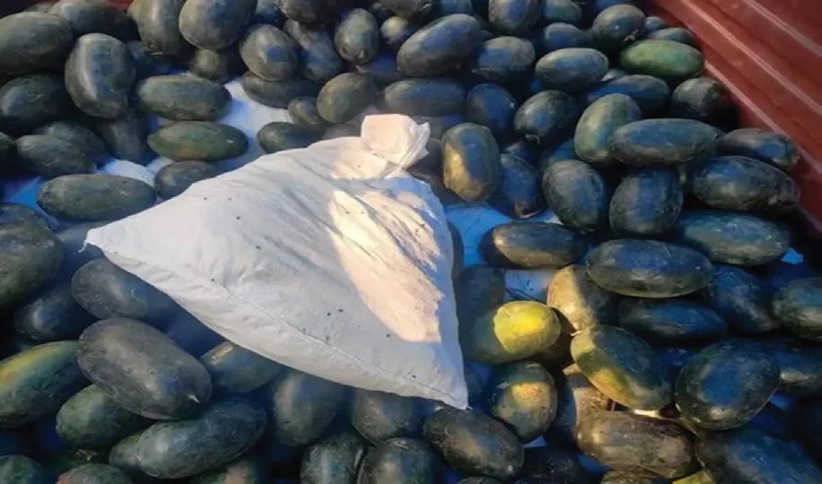 Delhi Police Bust Interstate Drug Syndicate, Seize 348 Kg of Ganja
