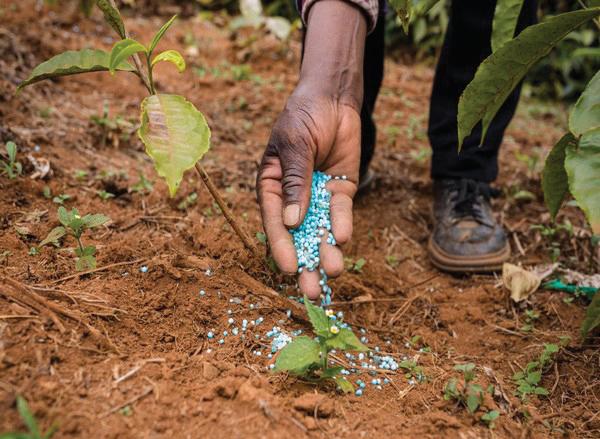 India's agrochemicals market eyes $14.5 billion by 2028 with 9% CAGR: Report