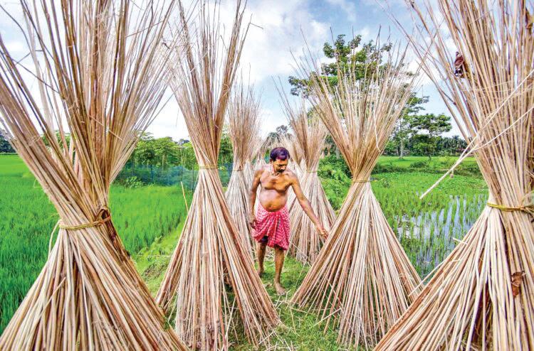 India Imposes Restrictions on Import of Jute from Bangladesh