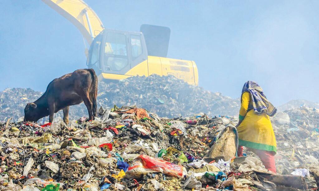 Rethinking urban waste