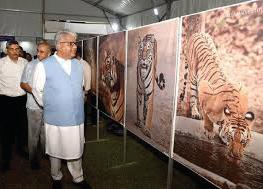 India's Tiger Reserves grew from 46 to 58 since 2014: Bhupender Yadav