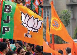 BJP Nears Consensus With RSS On Nat'l Prez; VP, States Chiefs Names Final Soon