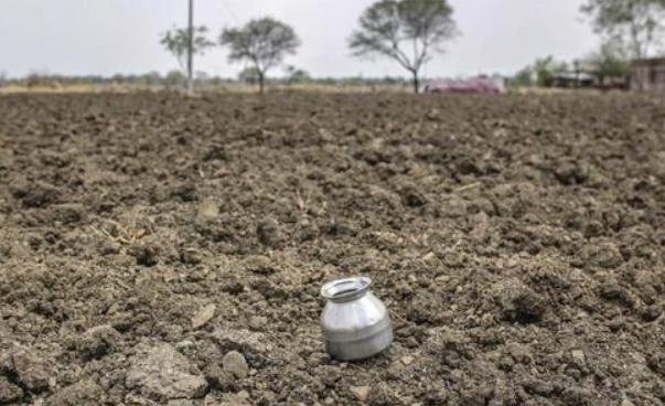 Haryana: Rain Deficit in Paddy Belt in July, Farmers Anxious
