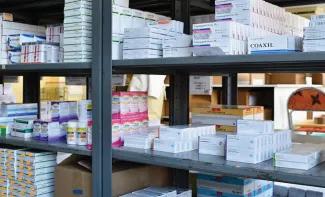 Any tariff on pharma will hit India: SBI Research