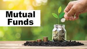Equity mutual fund inflows surge 80% in July to record high: AMFI