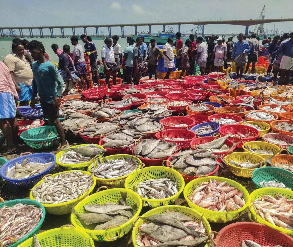Government Urges Seafood Exporters to Explore New Markets