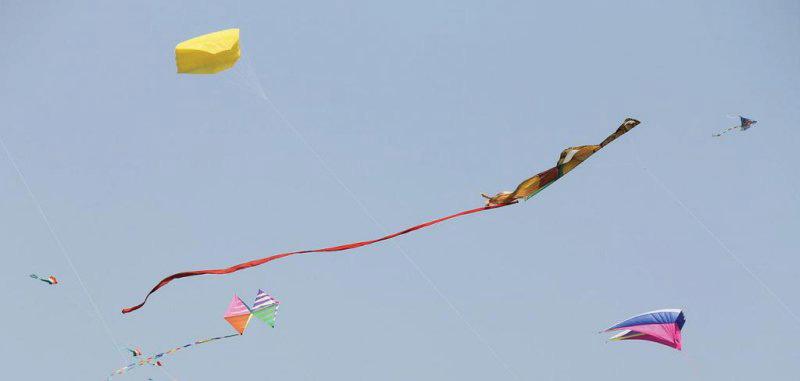 Delhi Metro Sees Fewer Kite String Disruptions This Year