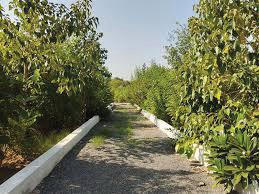 SPOs Introduced to Boost Credibility in ESG Debt Market