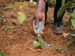 Global Agrochemical Market Shows Early Price Recovery: Report