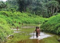 BULLDOZING TRIBAL RIGHTS IN GREAT NICOBAR
