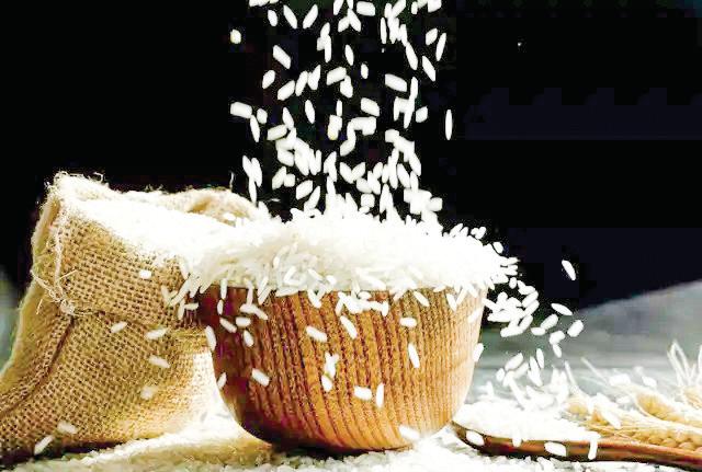 Indian Agri Sector Rejoices in GST Cuts