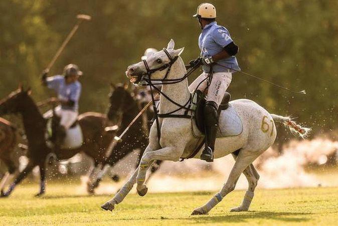 The Royal Game: A history of Polo in Rajasthan
