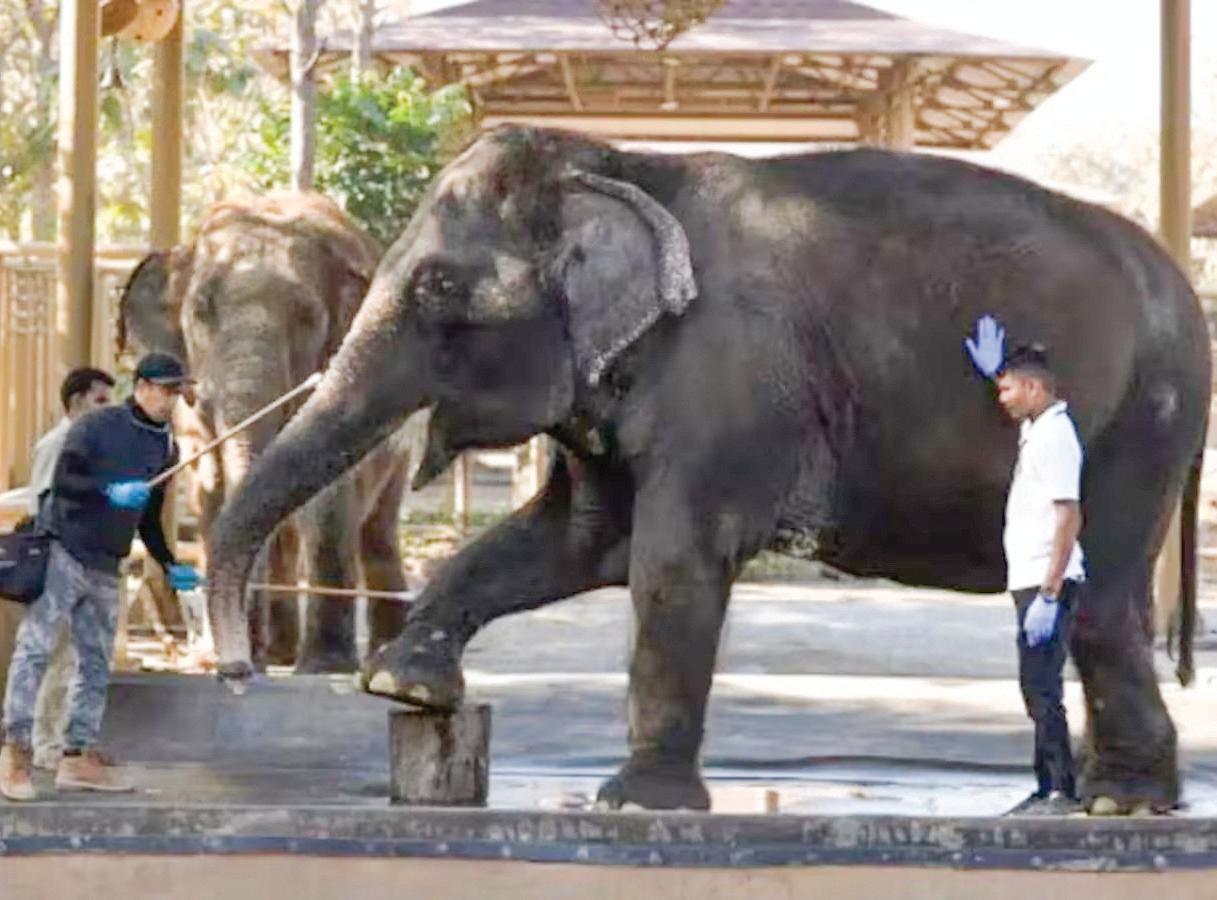 SIT Submits Sealed Report to SC