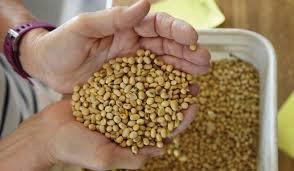 Taiwan sends team to US to buy farm products