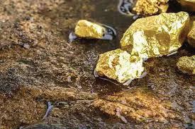 INDIA'S FIRST PRIVATE GOLD MINE TO BE COMMISSIONED SOON: DECCAN GOLD MD