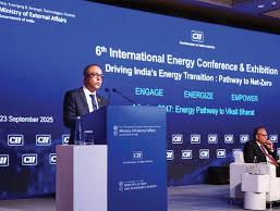 Maldives seeks Indian support to hit 33% renewables by 2028