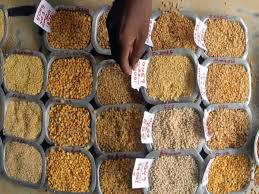 CABINET CLEARS RS 11,440 CR 'MISSION AATMANIRBHARTA IN PULSES' (2025-31)
