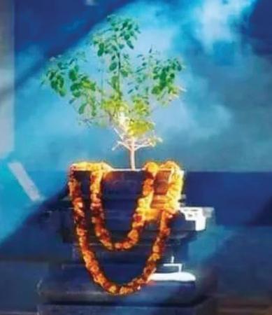 Karthik month: A sacred time for devotion and spiritual renewal