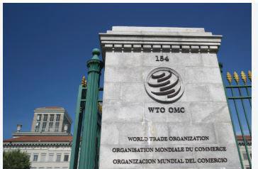 China files complaint against India in WTO over EV, battery subsidies