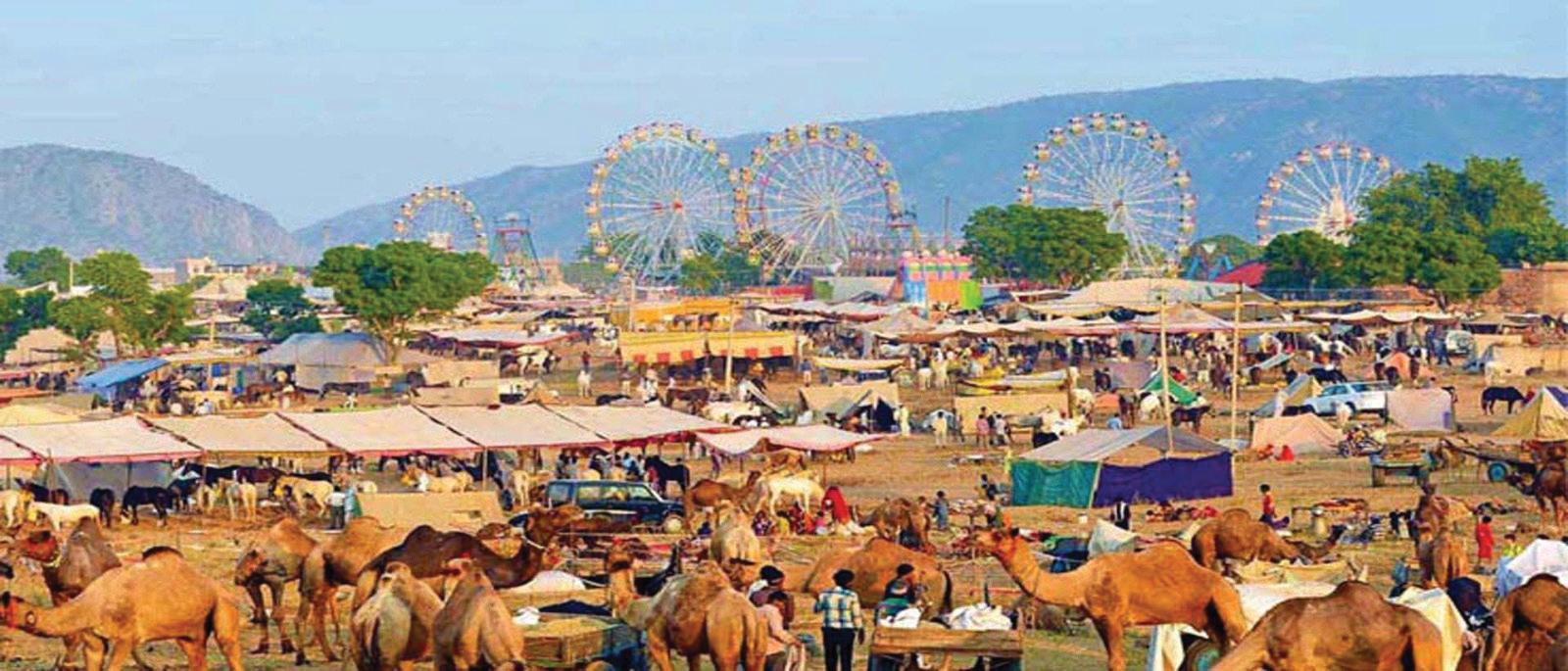 PUSHKAR FAIR: A FESTIVE EXTRAVAGANZA OF LIVESTOCK AND CULTURE