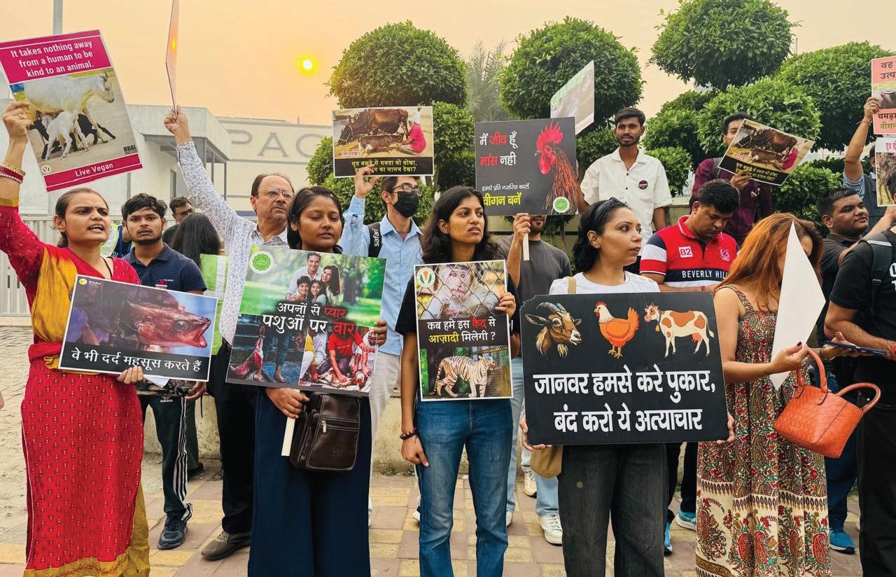 Hundreds of Animal Rights Activists March Against Speciesism on World Vegan Day