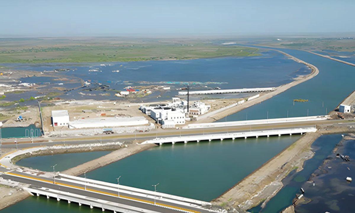 Dholera’s Coastal Comeback: How Mangrove Restoration is reviving marine and bird life