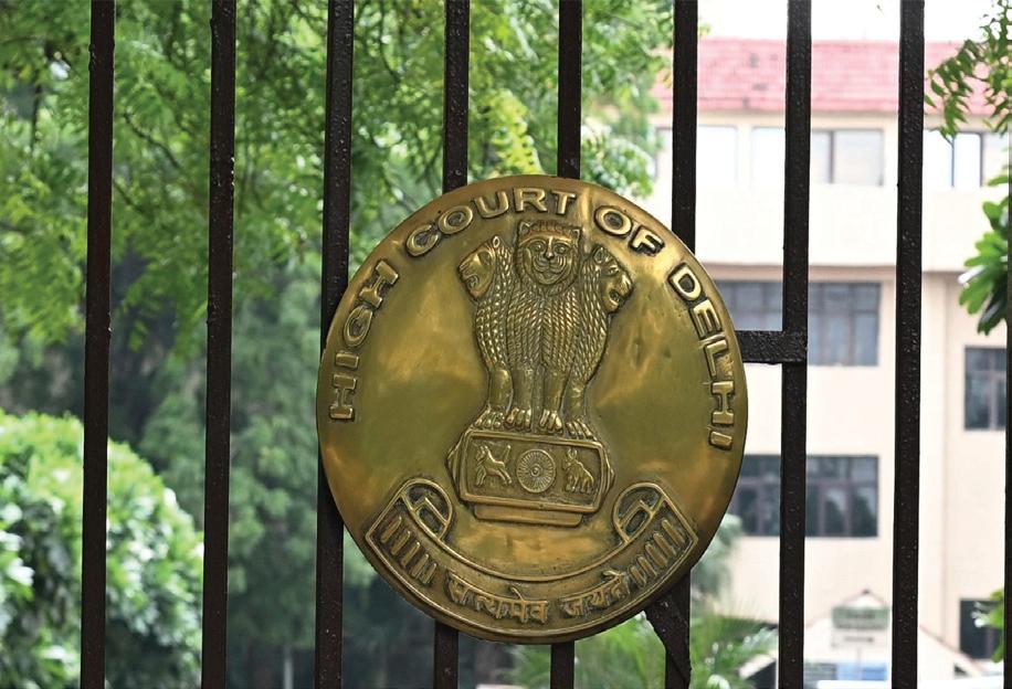 Delhi HC grants interim police protection to former DUSU President
