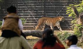 National Zoological Park re-opens to welcome over 8,000 visitors on the first day